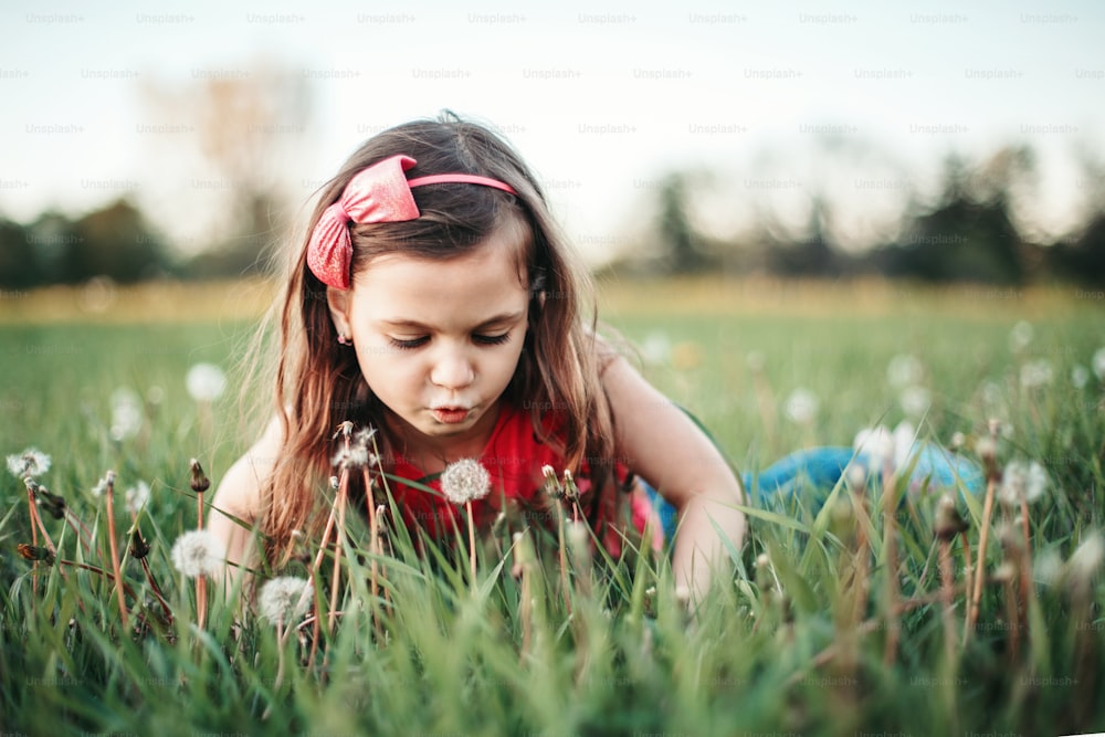 Cute adorable Caucasian girl blowing dandelions flowers. Child lying in grass on meadow. Outdoor fun summer seasonal children activity. Kid having fun outside. Happy childhood lifestyle.