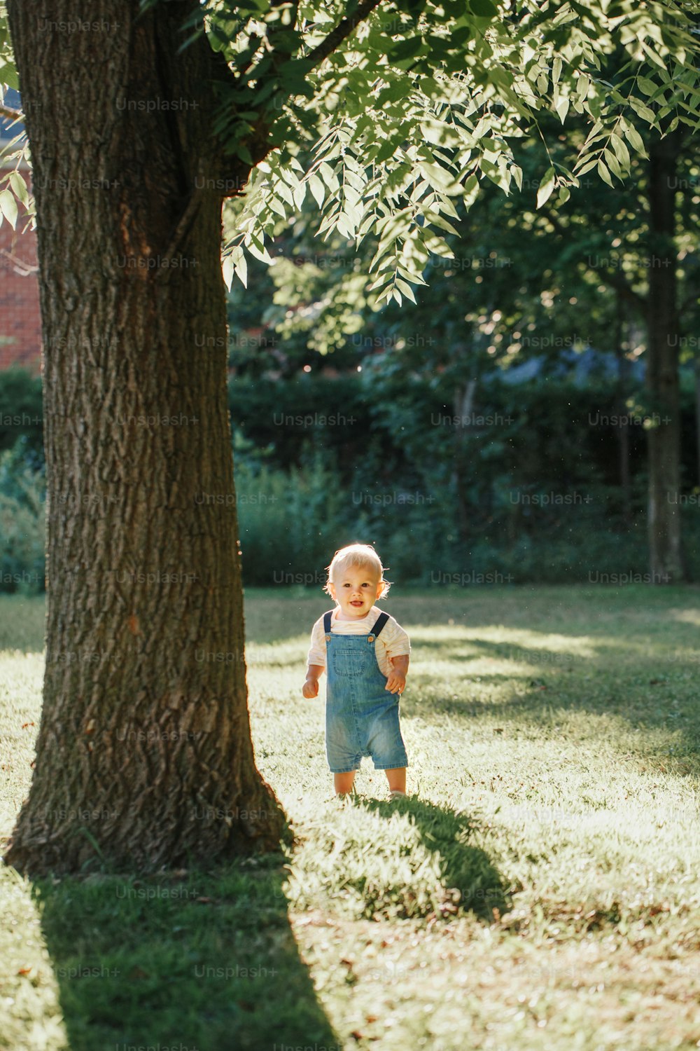Bebé lindo de pie debajo de un árbol grande enorme en el parque al atardecer. Adorable niño sonriente de un año caminando al aire libre en el patio trasero. Chico gracioso. Auténtico estilo de vida infancia feliz.