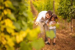 Father and son in vineyard. Father and son talking.