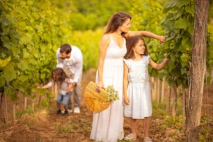 Family in the vineyard. Focus is on mom and kid.