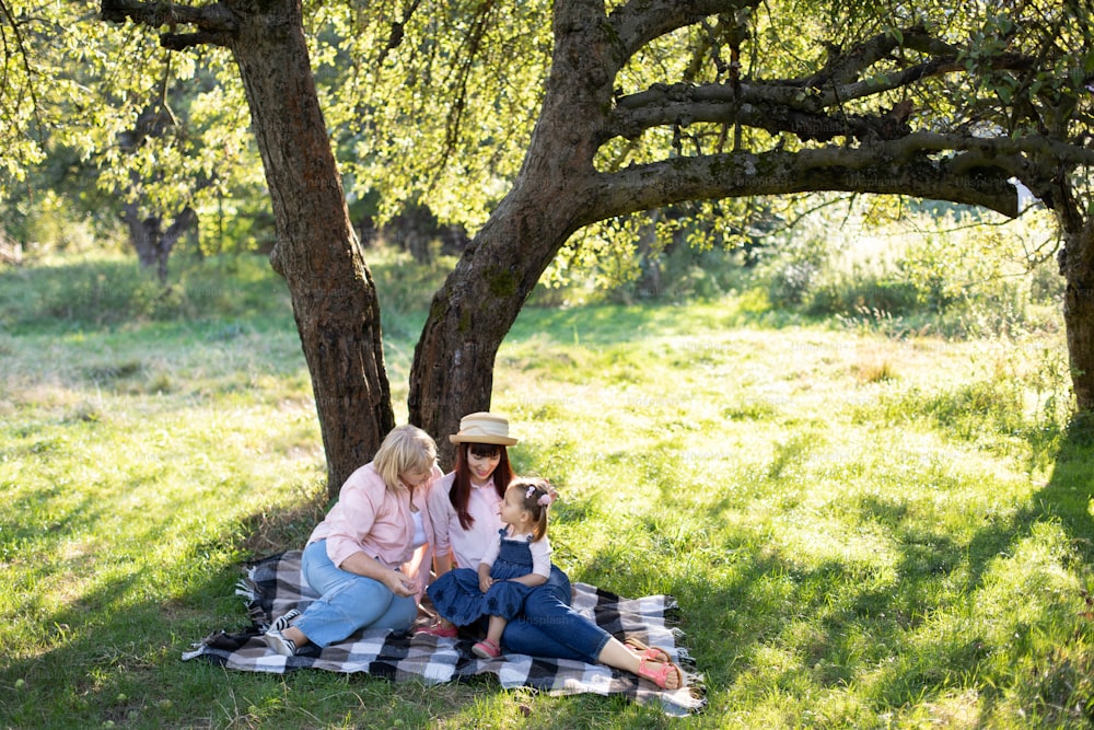 Multi-generation family spending time outdoors in sunny summer garden, sitting on checkered blanket under the big apple tree. Mature grandmother with daughter and granddaughter in park.
