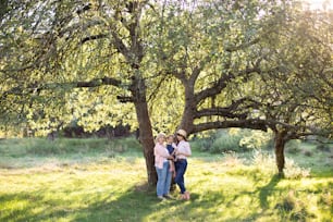 3세대 여성의 가족, 녹색 여름 정원에서 함께 시간을 보내고, 큰 나무 아래에서 포즈를 취합니다.