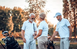 Ältere Freunde auf dem Golfplatz im Gespräch.
