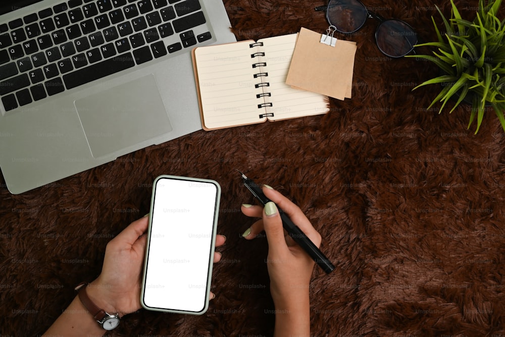 Oben Ansicht einer Frau, die ein Smartphone mit leerem Bildschirm und Stift über braunen Pelzteppich hält.