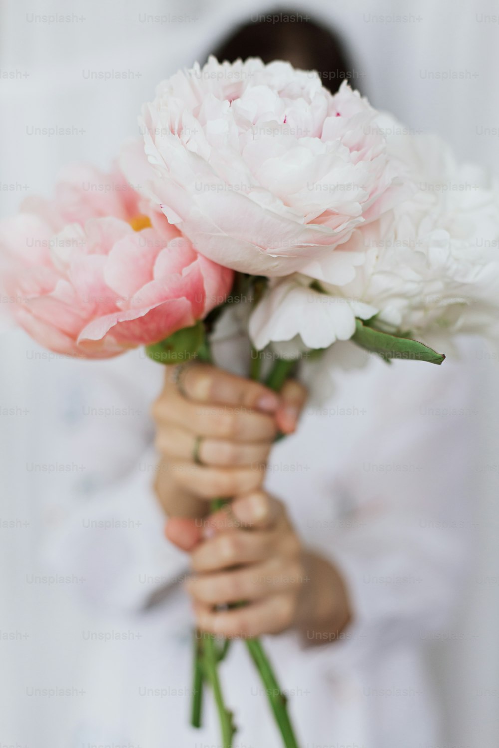손에 모란 꽃다발을 가진 관능적인 아름다운 여자. 젊은 세련된 여성은 부드럽게 큰 분홍색과 흰색 모란 꽃을 들고 있습니다. 부드러운 부드러운 이미지. 봄 미학. 신부의 아침
