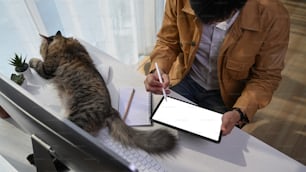 Giovane uomo che si siede con il suo adorabile gatto e lavora su una tavoletta digitale nell'ufficio di casa.