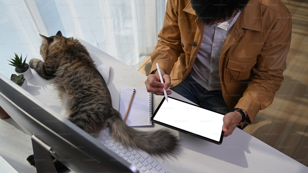 Junger Mann sitzt mit seiner schönen Katze und arbeitet am digitalen Tablet im Homeoffice.