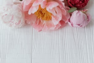 Beautiful tender peony border on white wood with copy space. Lovely pink and white peonies flowers on rustic white wood. Floral greeting card. Happy Mothers day