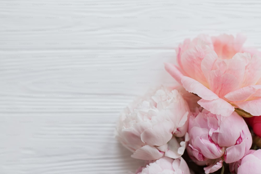 Schöne zarte Pfingstrosenblüten säumen weißes Holz mit Kopierraum. Alles Gute zum Muttertag. Schönes rosa und weißes Pfingstrosenbouquet auf rustikalem weißem Holz. Blumengrußkarte