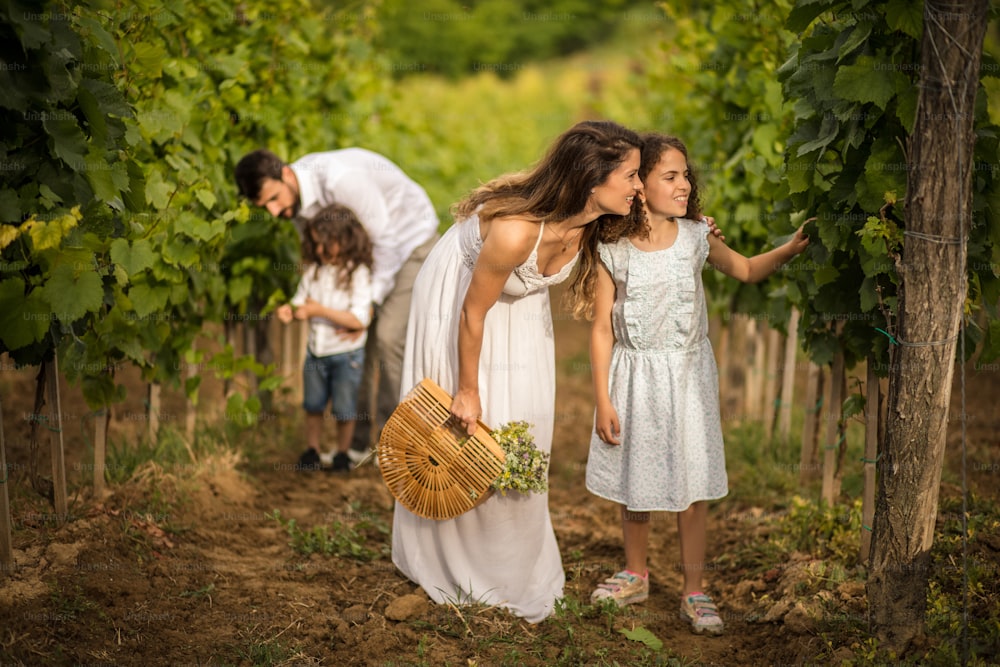 Little more and the grapes will ripen. Family in the vineyard. Mom explains to daughter about agriculture.