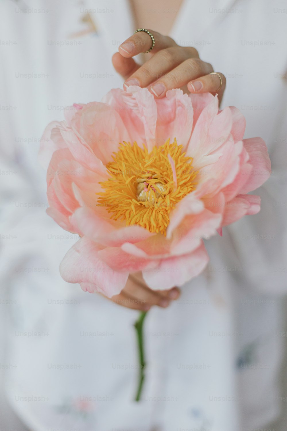 Belle femme sensuelle avec une pivoine rose dans les mains. Jeune femme élégante en chemise à fleurs bohème tenant doucement une grande fleur de pivoine. Image tendre et douce. Esthétique printanière