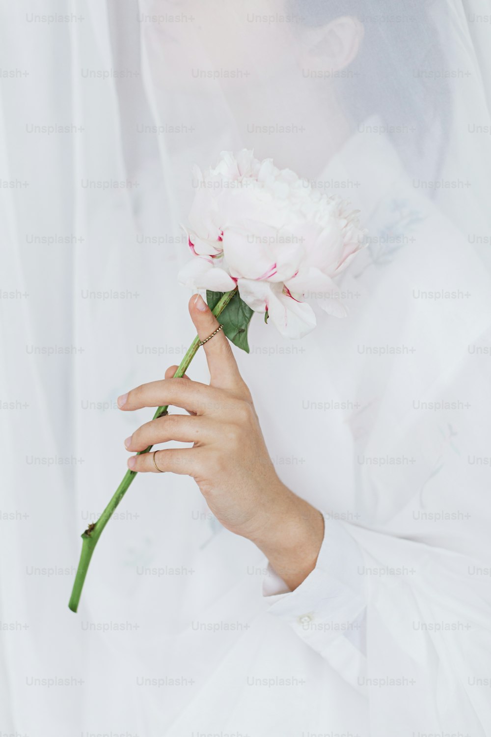 Sensual beautiful woman behind soft white fabric with pink peony in hands. Young stylish female gently holding big pink peony flower. Tender image. Spring aesthetics. Bridal morning