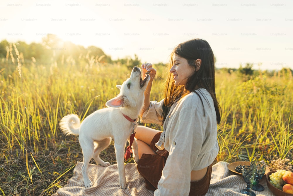 Mujer elegante que da golosinas a su perro blanco en una manta en una luz cálida y soleada en un prado de verano. Vacaciones de verano y picnic con mascota. Mujer boho joven jugando con el cachorro del pastor suizo en la puesta del sol