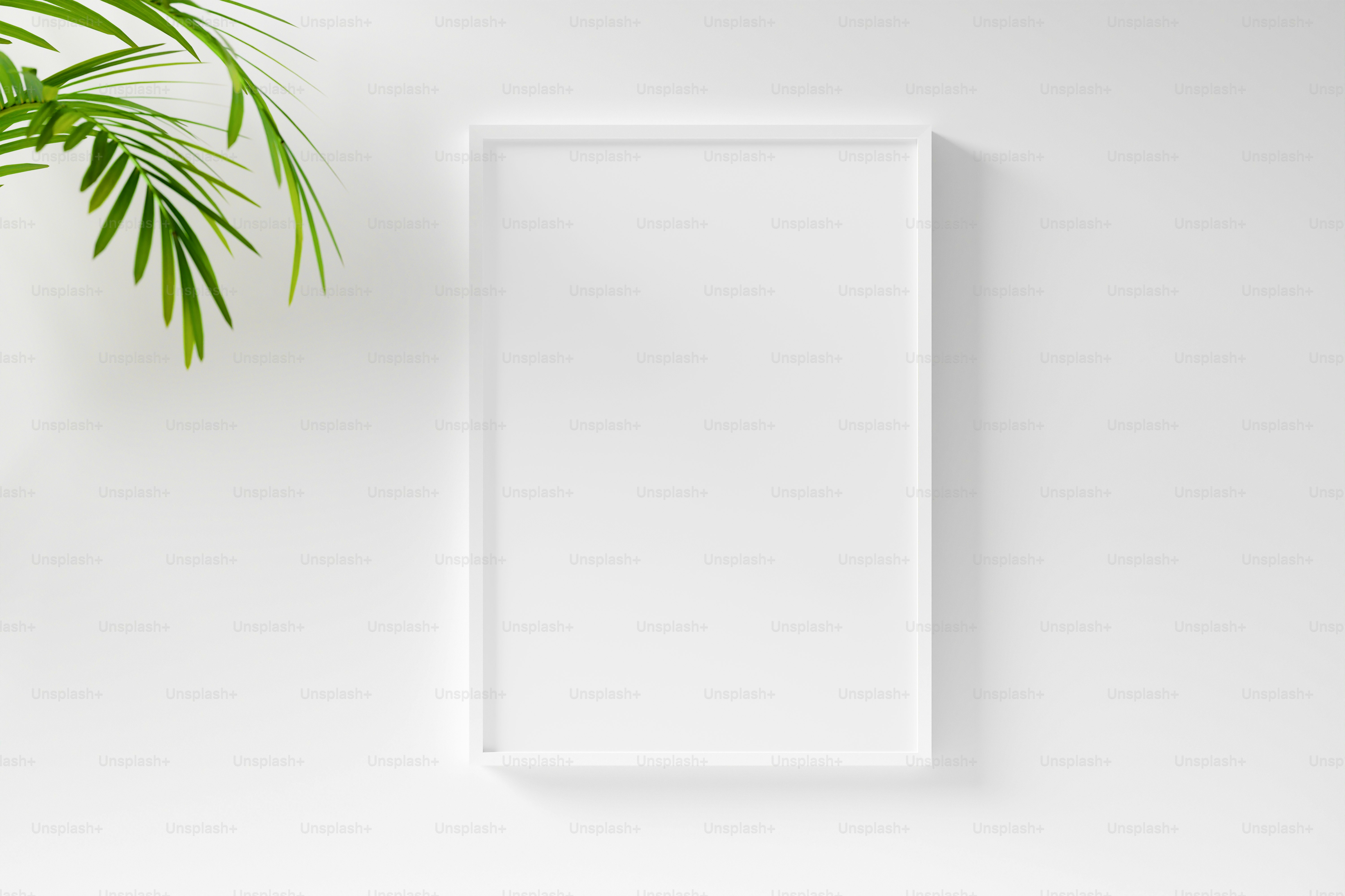 Border Frame Pictures | Download Free Images on Unsplash