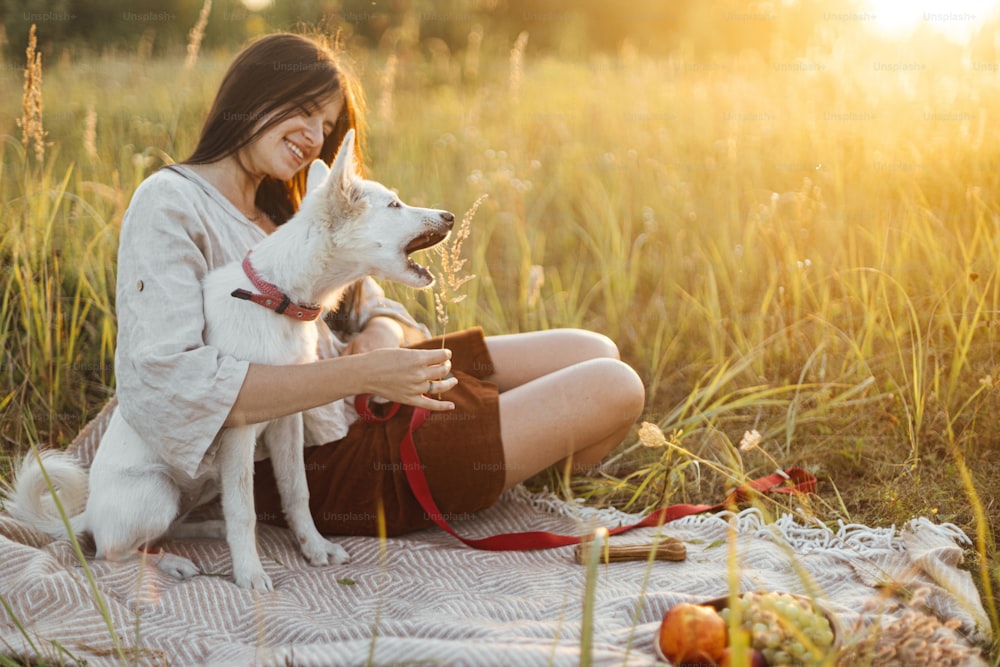 Stylish happy woman playing with her white dog with herb on blanket in warm sunny light in summer meadow. Summer vacation and picnic with pet. Young boho female relaxing with swiss shepherd puppy