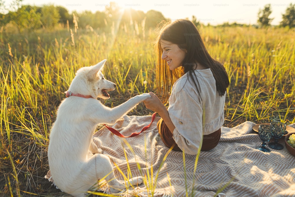 Stylish woman training her white dog on blanket in warm sunny light in summer meadow. Summer vacation and picnic with pet. Young boho woman playing with swiss shepherd puppy in sunset