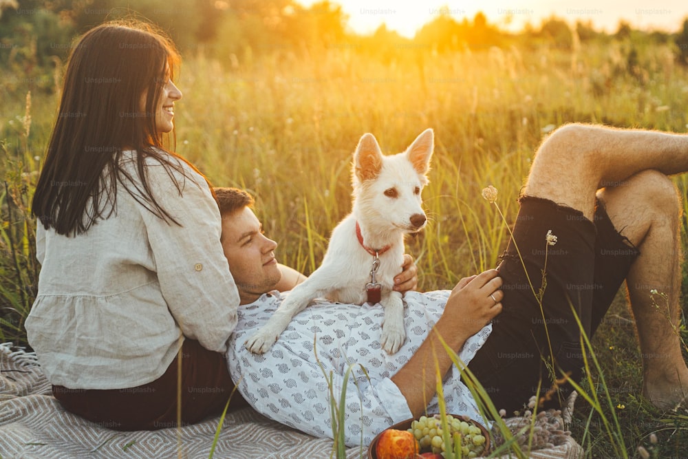 Stilvolles glückliches Paar, das sich beim Picknick mit weißem Hund auf Plaid im warmen Sonnenuntergangslicht auf der Sommerwiese entspannt. Sommerferien. Junge Familie genießt den Abend mit dem Schweizer Schäferhundwelpen