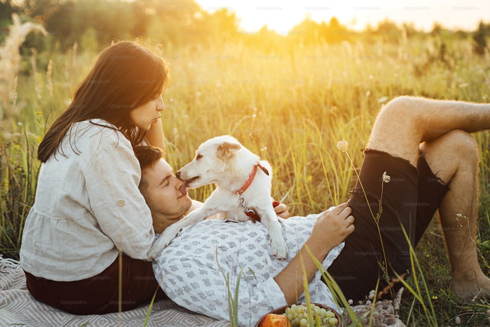 Stylish couple embracing in sunny light, relaxing with white dog on blanket among grass in summer meadow. Summer vacation and picnic. Young family enjoying sunset with swiss shepherd puppy