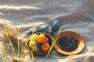 Fresh delicious fruits in wooden plates and blue wineglasses on yellow plaid in warm sunny light in summer meadow. Summer picnic concept. Vacation and leisure