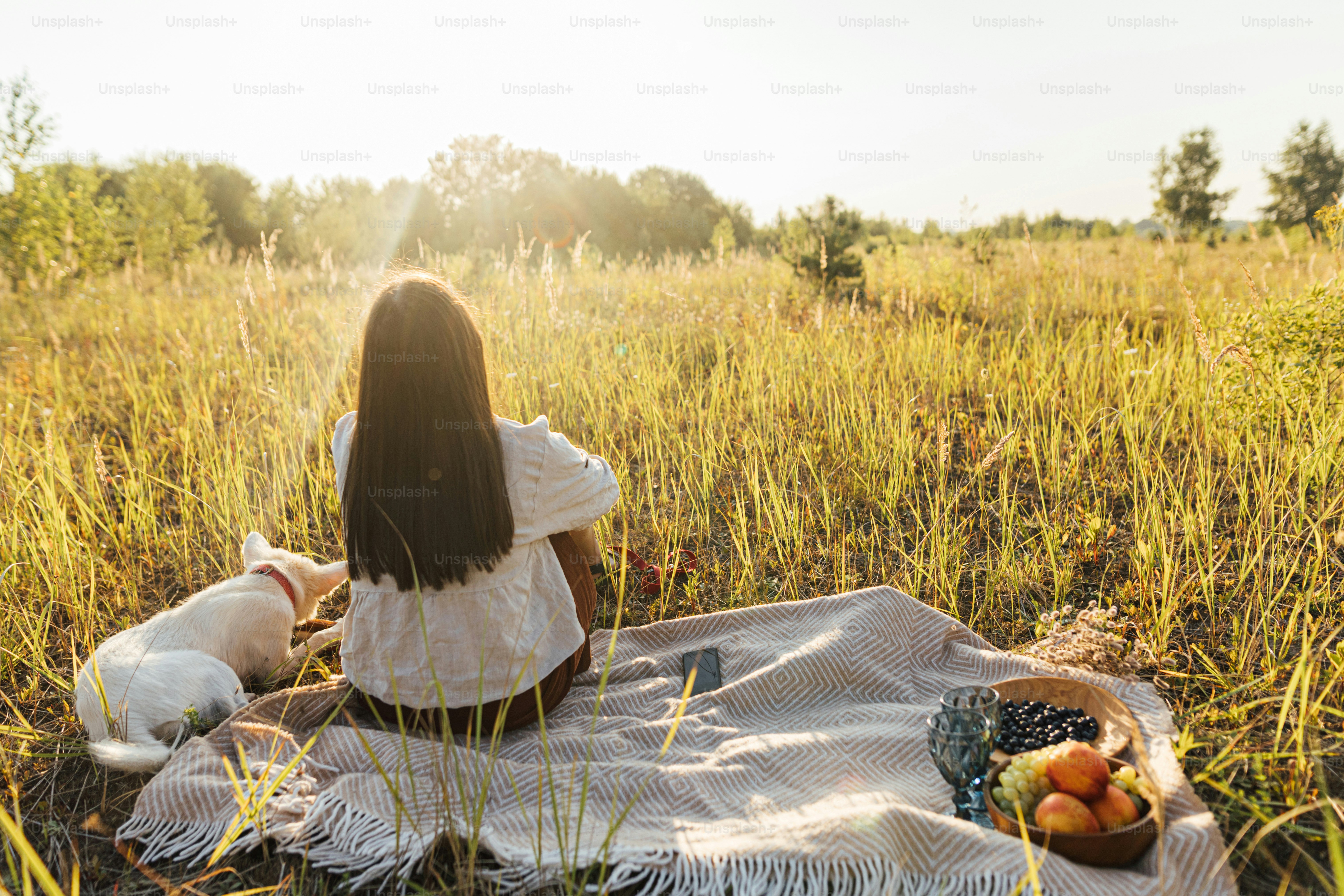 Mulher elegante sentada com seu cão no cobertor amarelo na luz ensolarada quente no prado de verão. Férias de verão e piquenique com animal de estimação. Mulher boho nova que relaxa com o filhote de cachorro do pastor suíço no pôr do sol