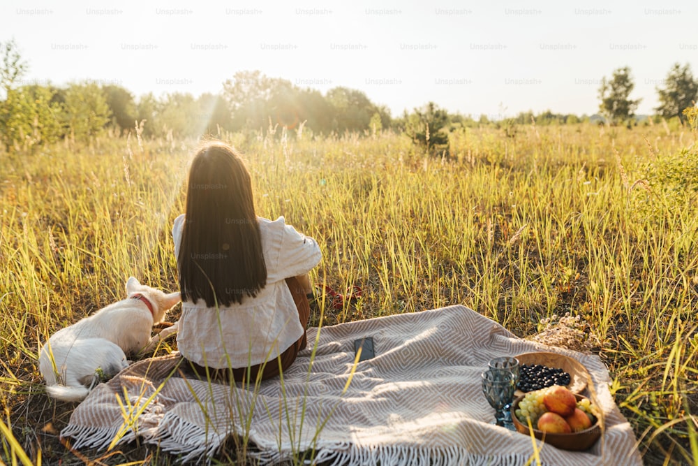 Stylish woman sitting with her dog on yellow blanket in warm sunny light in summer meadow. Summer vacation and picnic with pet. Young boho woman relaxing with swiss shepherd puppy in sunset
