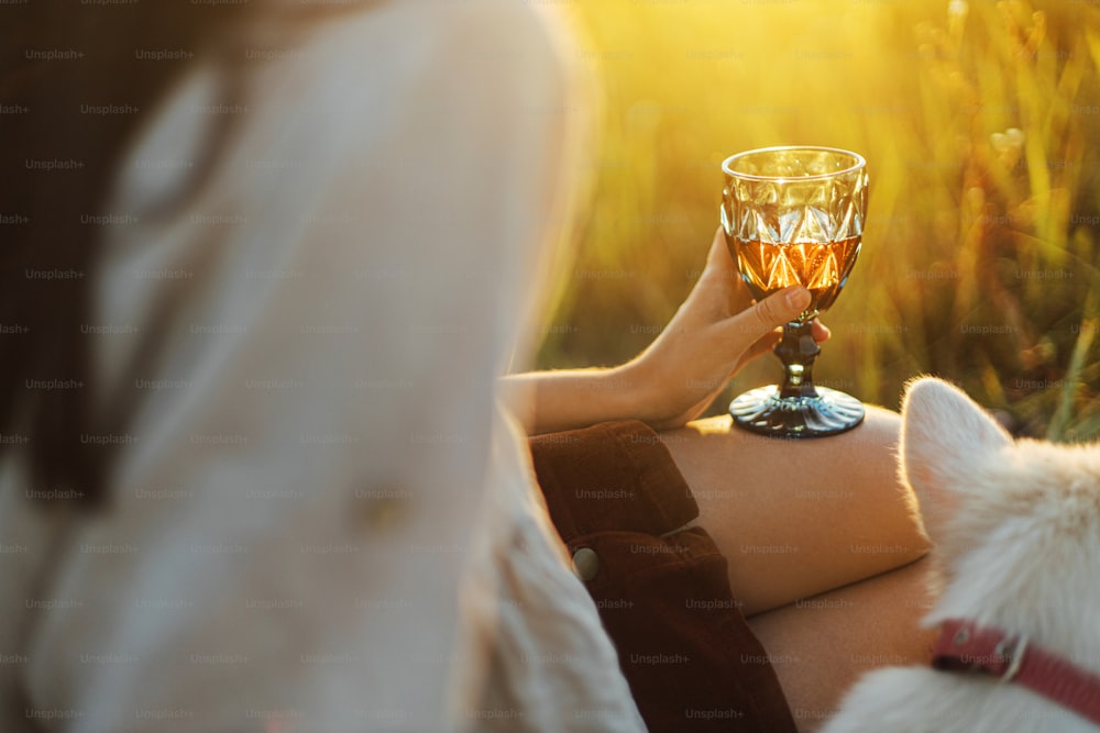 Wine glass in woman hand close up on background of summer meadow grass in warm sunset light.  Summer vacation and picnic. Stylish woman relaxing with glass of wine and white dog.