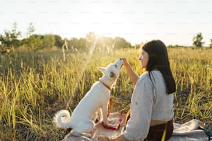 Stylish woman giving treats to her white dog on blanket in warm sunny light in summer meadow. Summer vacation and picnic with pet. Young boho woman playing with swiss shepherd puppy in sunset