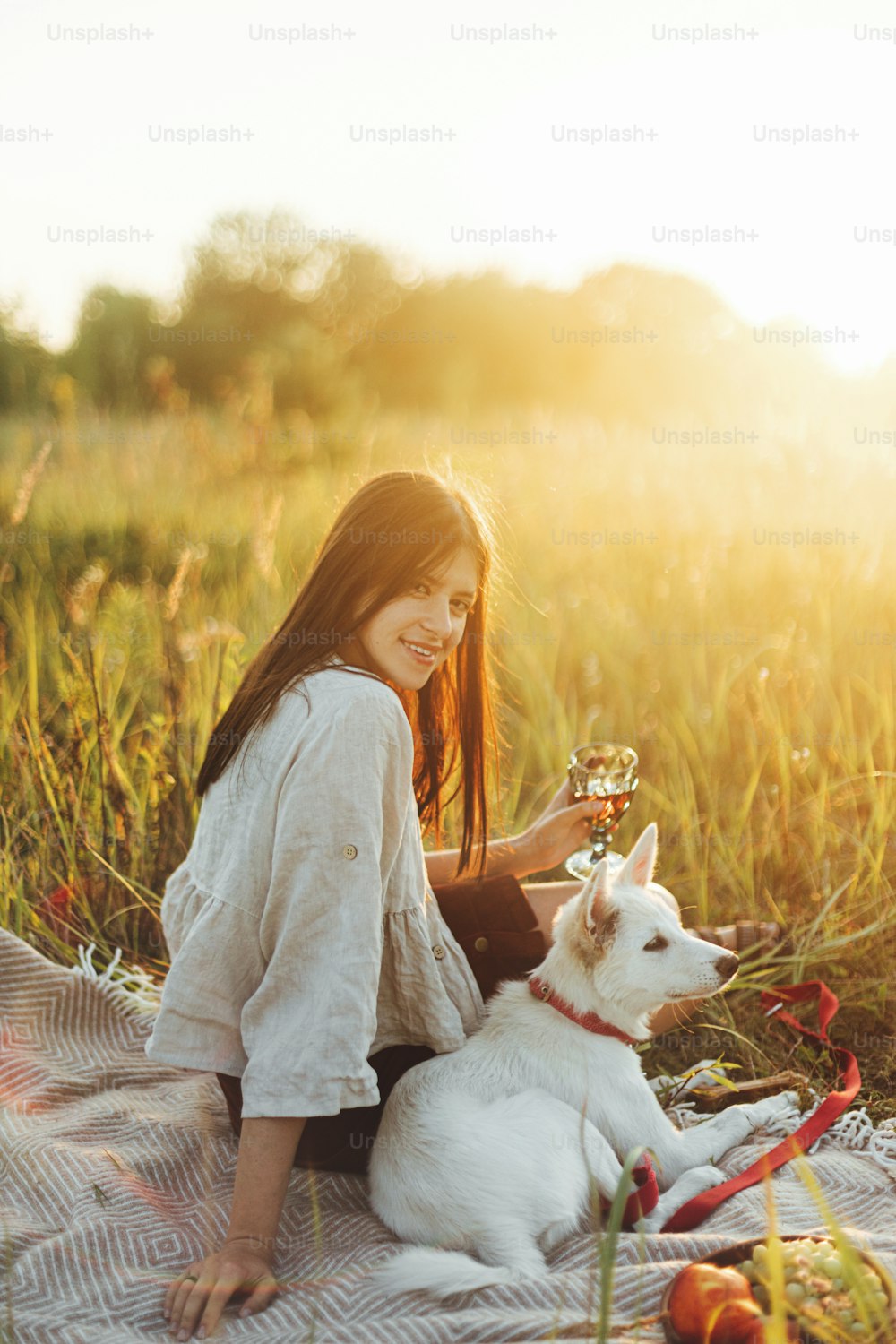 Stylish woman relaxing with glass of wine and white dog on blanket in warm sunny light in summer meadow. Vacation and picnic with pet. Young boho female enjoying sunset with swiss shepherd puppy