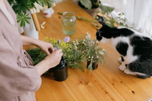 Stylish happy woman in linen dress arranging flowers while cat playing and smelling wildflowers on wooden table in rustic room. Young female florist and her pet at work, lovely funny moment