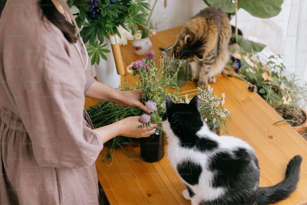 Mujer elegante en vestido de lino arreglando flores y dos gatos jugando y oliendo flores silvestres en una mesa de madera en una habitación rústica. Florista joven y sus mascotas en el trabajo. Aut�éntico momento divertido