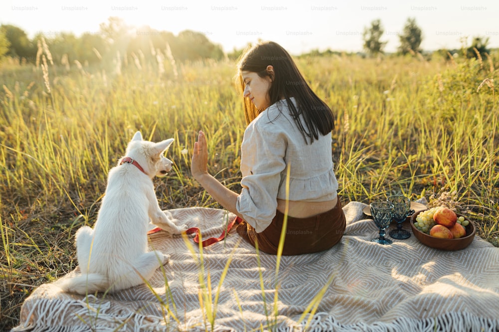 Stylish woman playing with her dog on blanket in warm sunny light in summer meadow. Summer vacation and picnic with pet. Young boho woman relaxing with swiss shepherd puppy in sunset, training