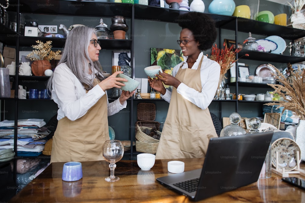 Caucasian aged woman and african young woman doing inventory together at modern shop with various decor. Two diverse workers using wireless laptop at store
