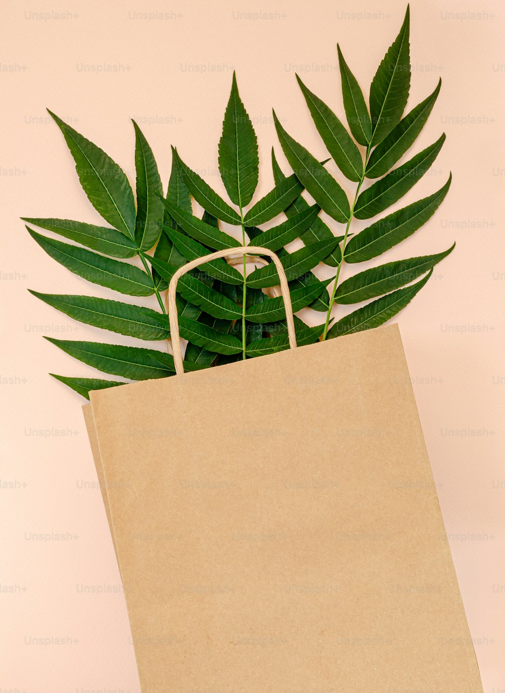 Maqueta de bolsa de papel artesanal con hojas verdes sobre fondo rosa. Concepto de residuo cero