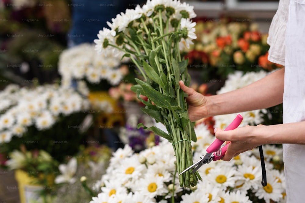 Florista de mujer cortando el borde inferior de las flores con tijeras de podar afiladas en su pequeña floristería