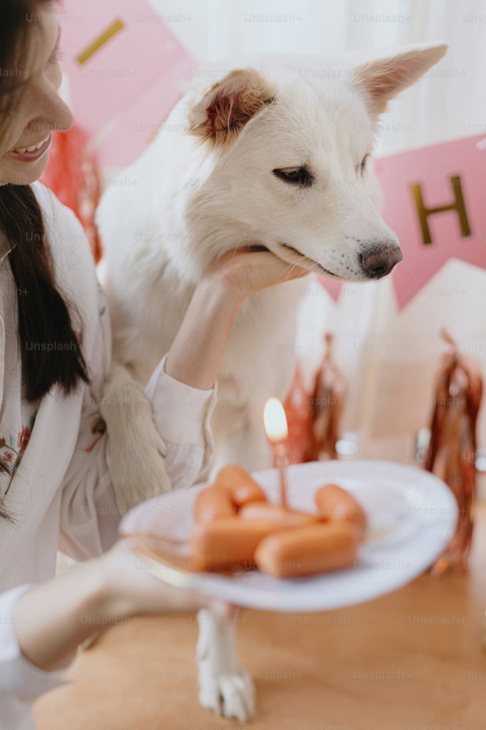 Happy young woman celebrating dog birthday with sausage cake and candle on background of pink garland and decorations. Dog birthday party. Adorable white swiss shepherd dog first birthday