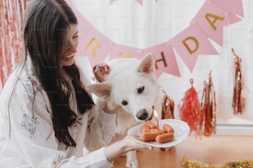 Festa de aniversário do cão. Mulher jovem feliz e cão faminto que comemora o aniversário com bolo de salsicha e vela no fundo da guirlanda rosa. Adorável cão pastor suíço branco primeiro aniversário