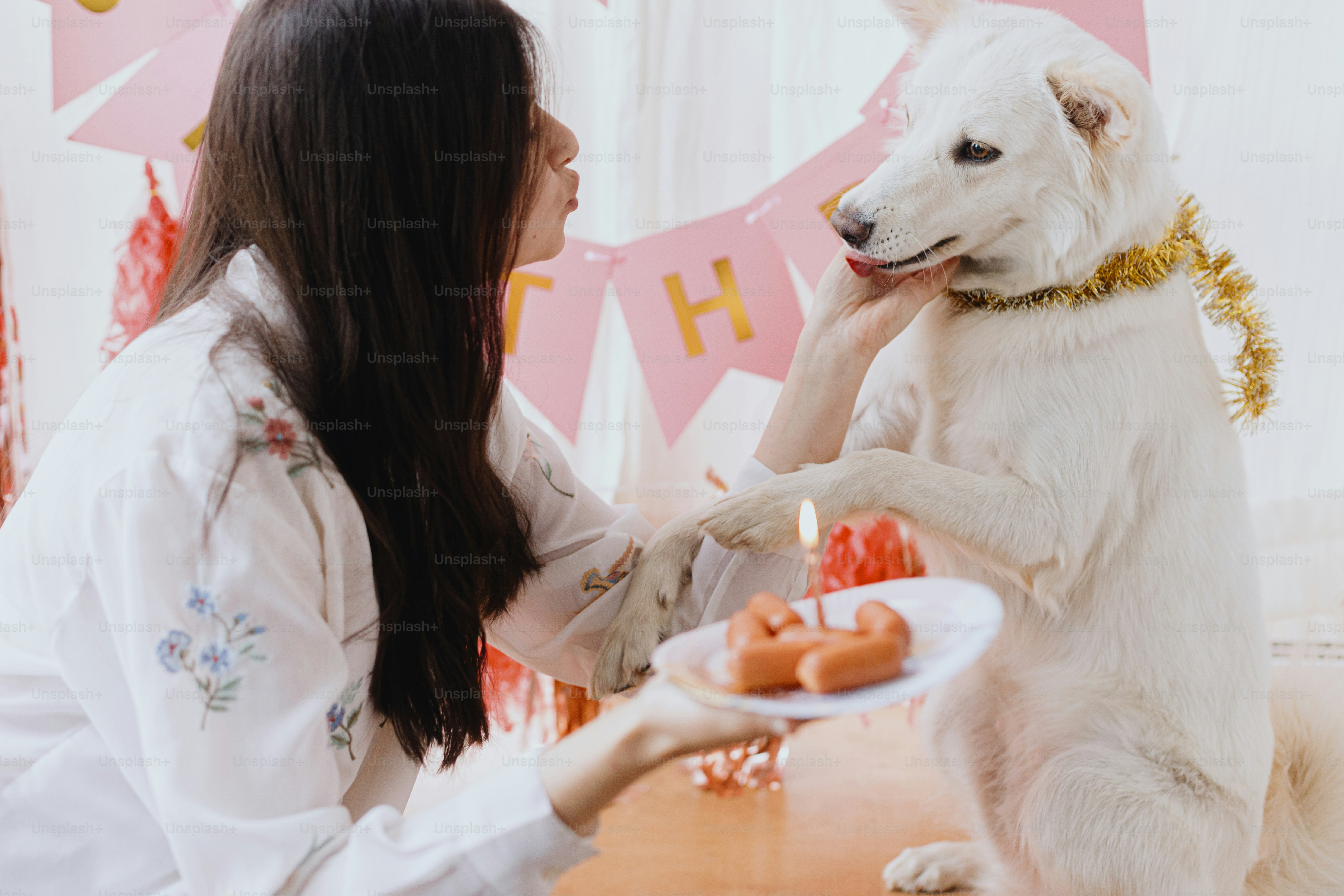 Dog birthday party. Happy young woman and hungry dog celebrating birthday with sausage cake and candle on background of pink garland. Adorable white swiss shepherd dog first birthday