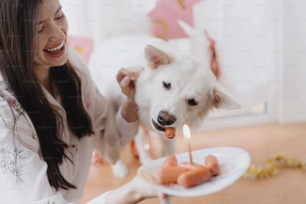 犬の誕生日パーティー。ピンクの花輪の背景にソーセージケーキとキャンドルで誕生日を祝う幸せな若い女性と空腹の犬。愛らしい白いスイスシェパード犬の1歳の誕生日