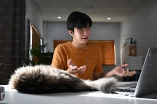 Giovane uomo asiatico che ha videoconferenza con il partner commerciale mentre è seduto con il suo gatto a casa.