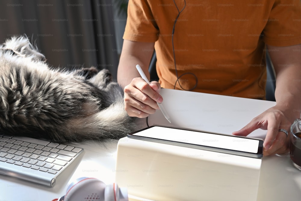 Cropped shot of man using digital tablet and his cat sleeping on white desk.