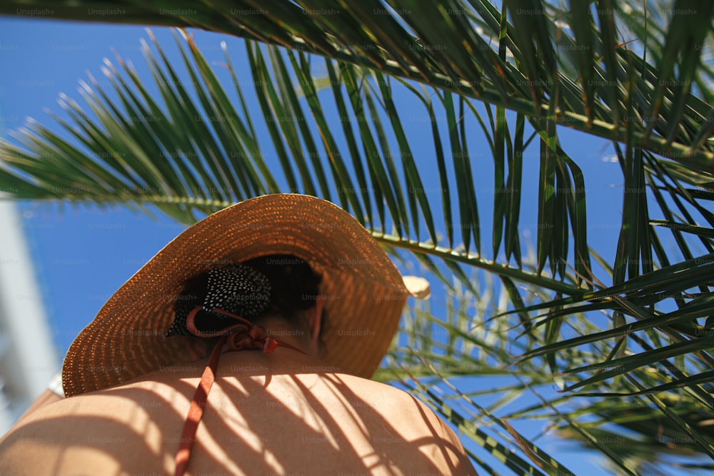 Shadow of palm leaves on back of beautiful woman in hat relaxing at pool enjoying summer vacation. Skin care and sunscreen concept. Slim young female tanning at swimming pool at tropical resort