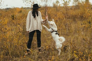 Stylish hipster woman training cute white dog on background of autumn trees. Traveling with pet. Beautiful young female in sweater and hat playing with swiss shepherd puppy in fall park