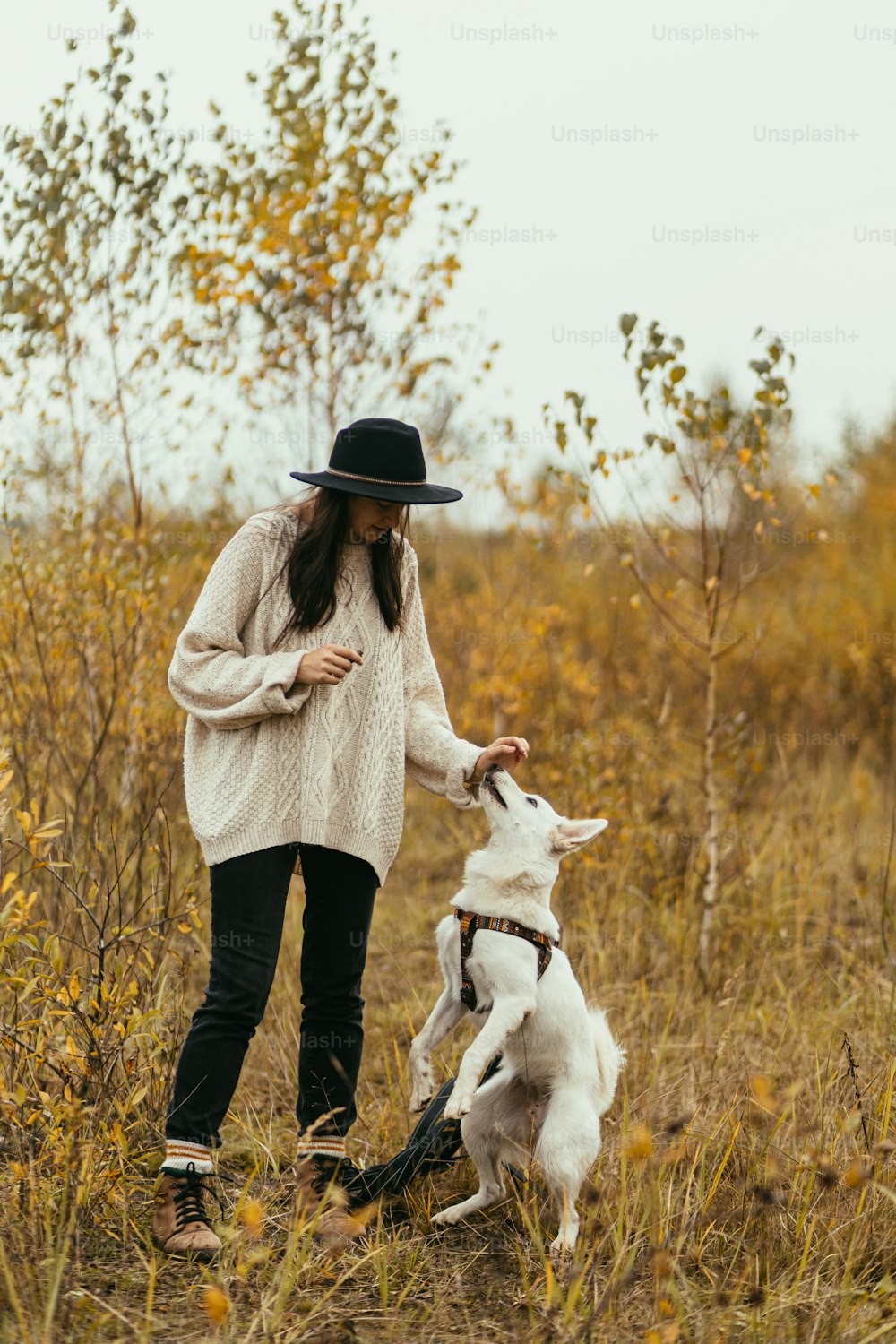 Femme hipster élégante entraînant un chien blanc mignon sur fond d’arbres d’automne. Voyager avec un animal de compagnie. Belle jeune femelle en pull et chapeau jouant avec un chiot berger suisse dans un parc d’automne