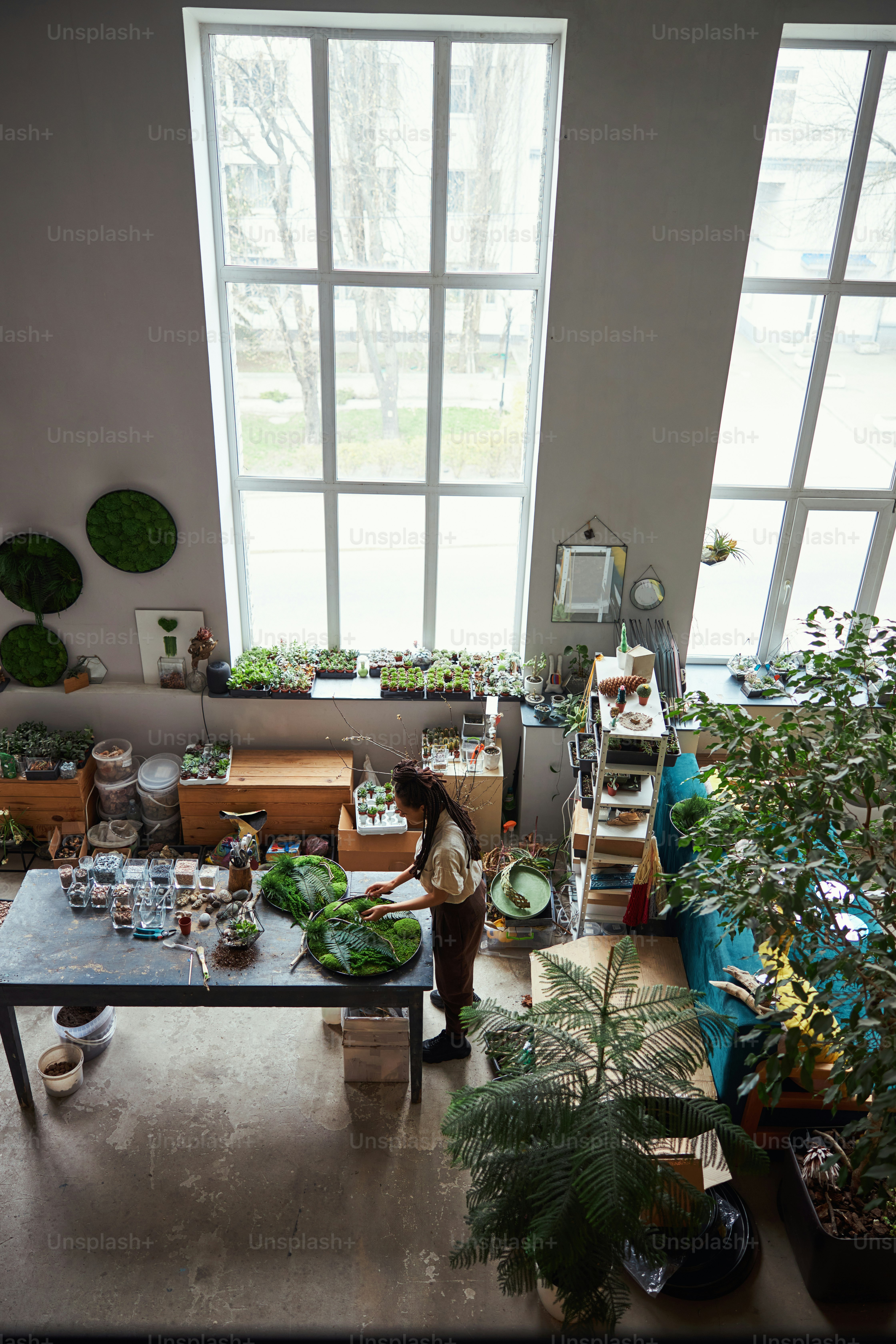 Indoor Plant Sanctuary