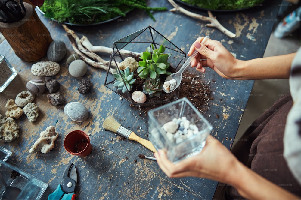 Cropped photo of a professional floral decorator adding a mix of pebbles to a succulent terrarium