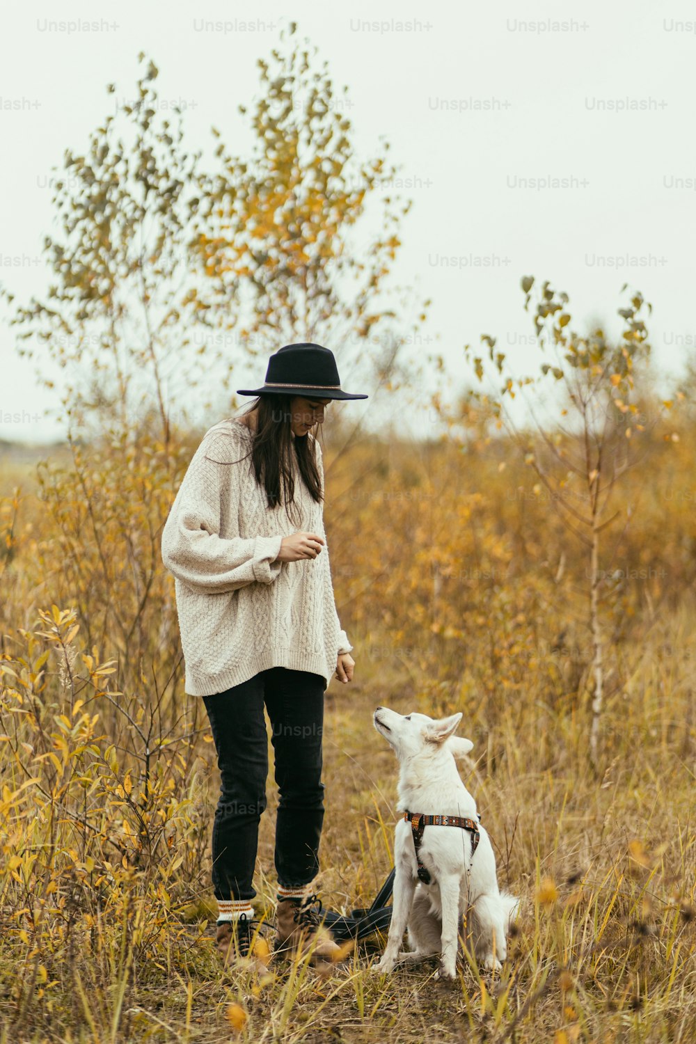 秋の木の背景にかわいい白い犬を訓練するスタイリッシュなヒップスターの女性。ペットを連れての旅行。秋の公園でスイス羊飼いの子犬と遊ぶセーターと帽子の美しい若い女性