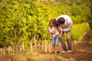 Father and son in the vineyard. Father talking his son about agriculture.