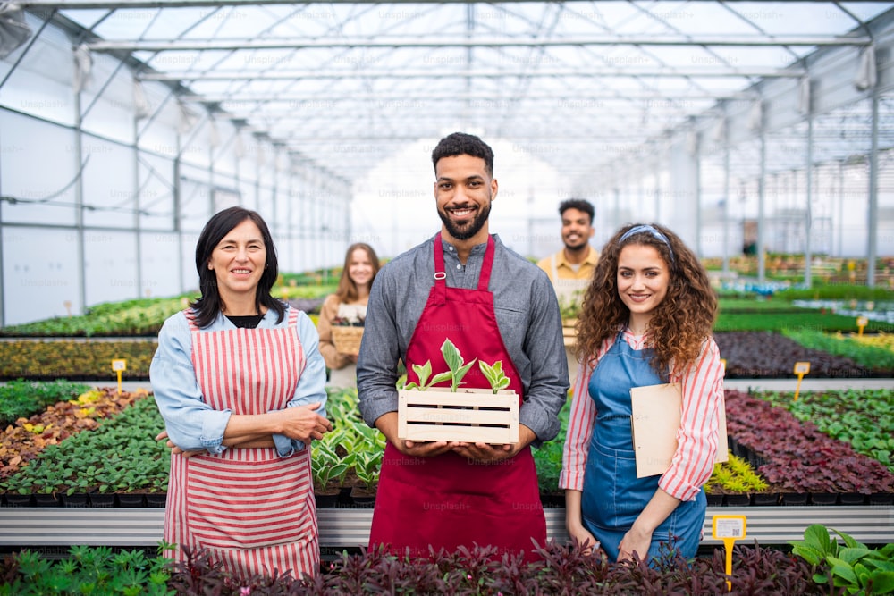 A portrait of people working in greenhouse in garden center, looking at camera.