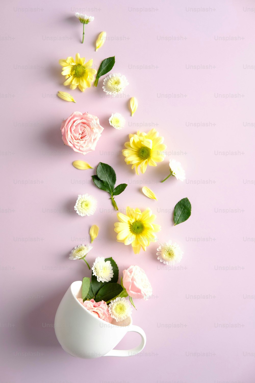 Kreative Komposition mit Tasse und Blumen auf rosa Hintergrund. Kräutertee-Konzept.