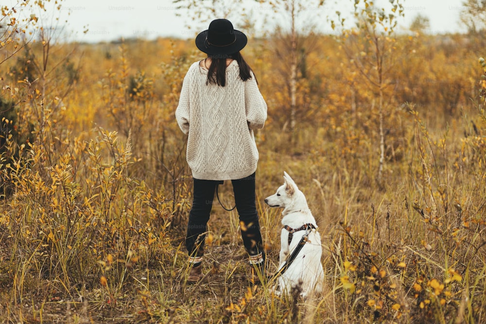 Stylish hipster woman traveling with cute white dog on background of autumn trees. Wanderlust. Beautiful young female in sweater and hat standing with swiss shepherd puppy. Back view, copy space